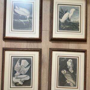 Set of Four Bird Art Prints in Wooden Frames Roger Tory Peterson originals